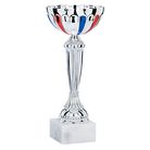 0790163 - COUPE 22 cm  PHOTO A63